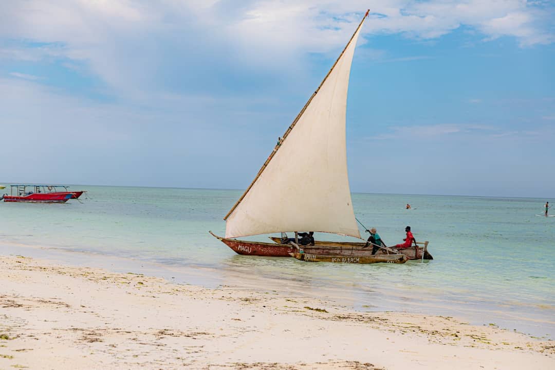 Luxury Safaris