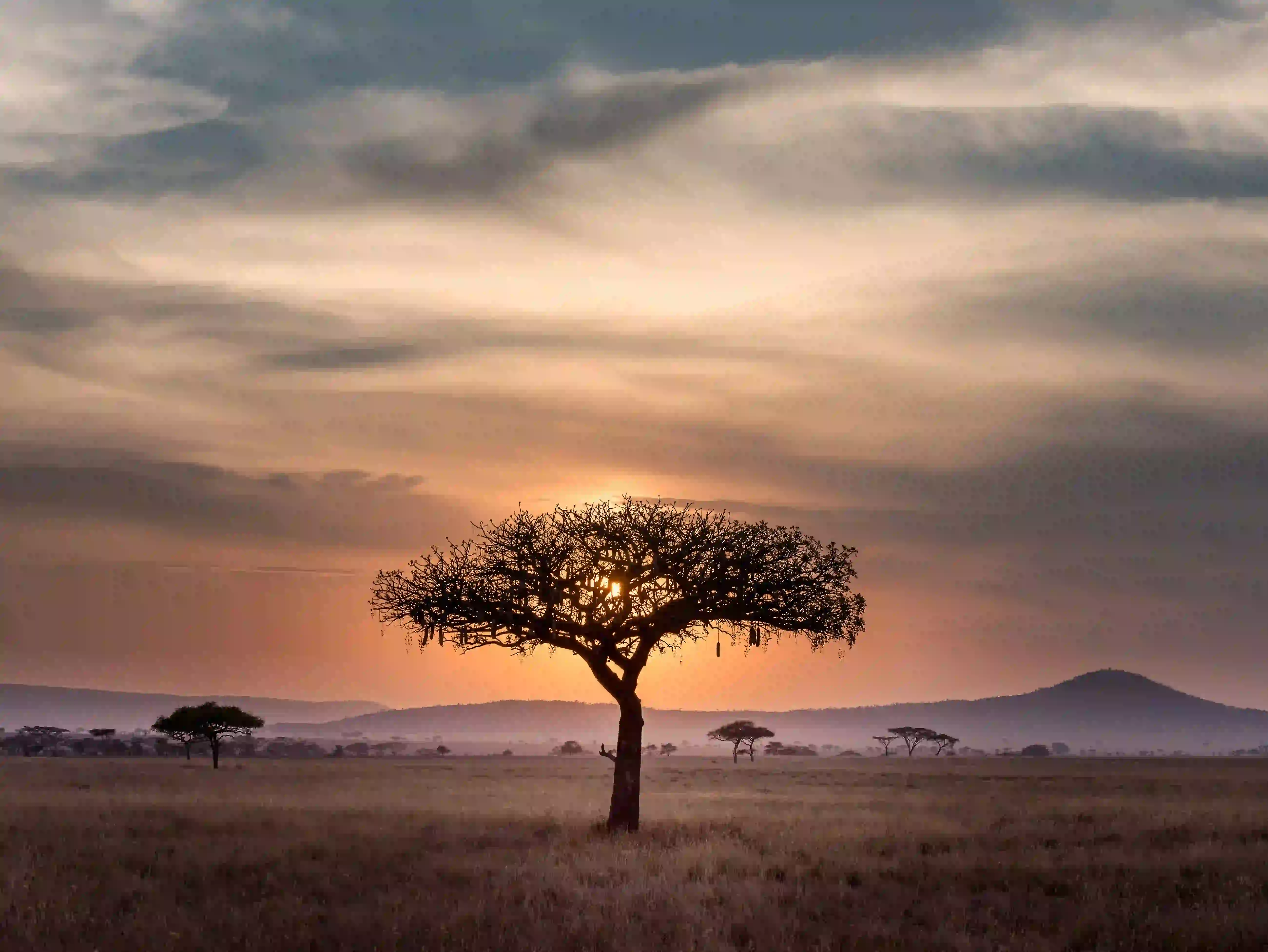 2-Day Tarangire & Ngorongoro Safari