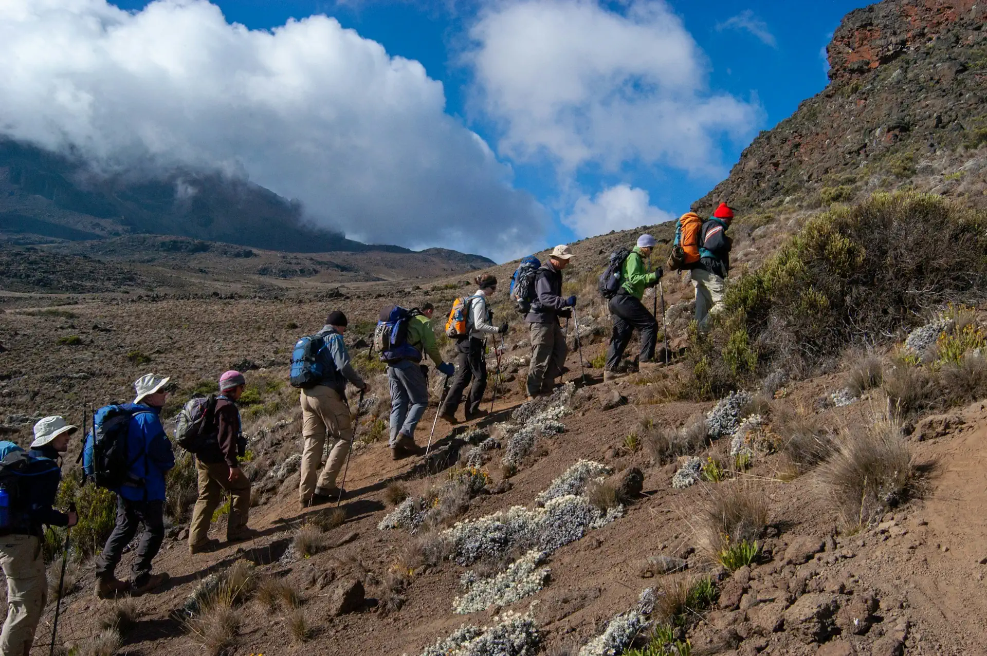 Kilimanjaro Lemosho Route