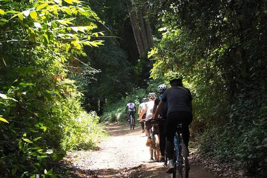 Rau Forest Bike Tour
