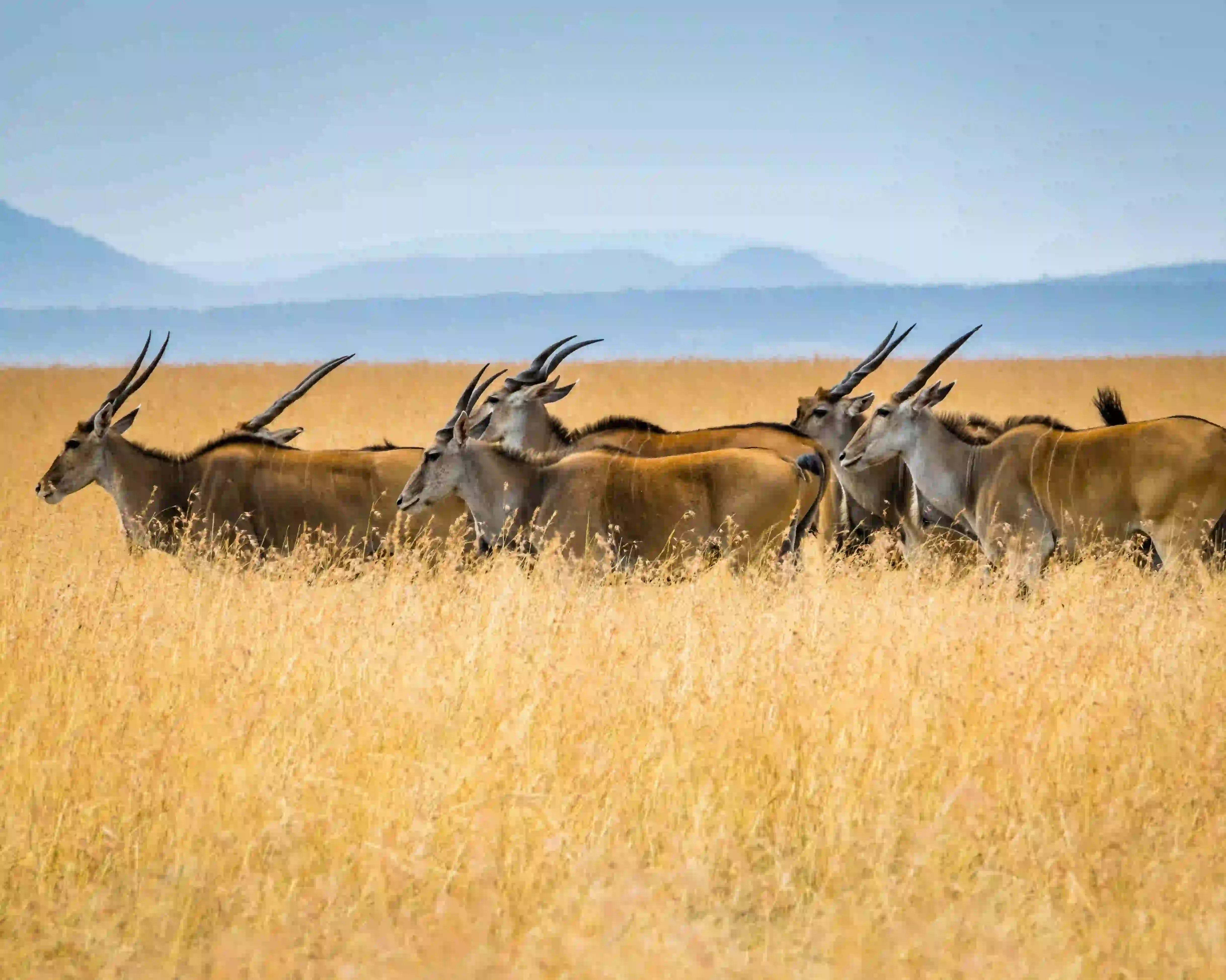 2-Day Tarangire & Ngorongoro Safari