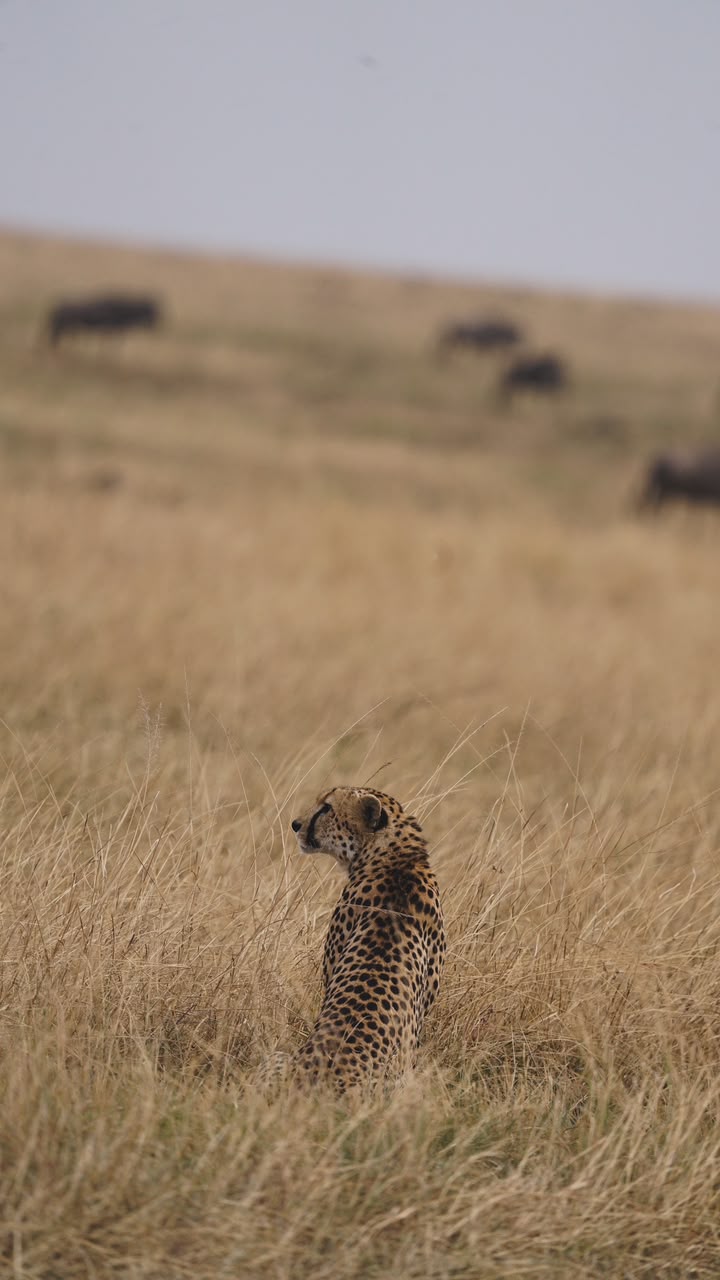 Adventure Awaits in the Heart of Tanzania