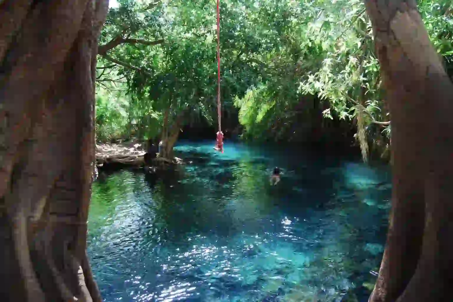 Kikuletwa Hot Springs Day Trip