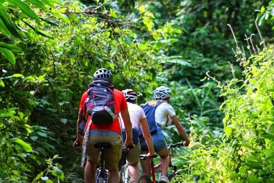 Rau Forest Bike Tour