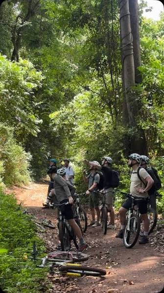 Rau Forest Bike Tour