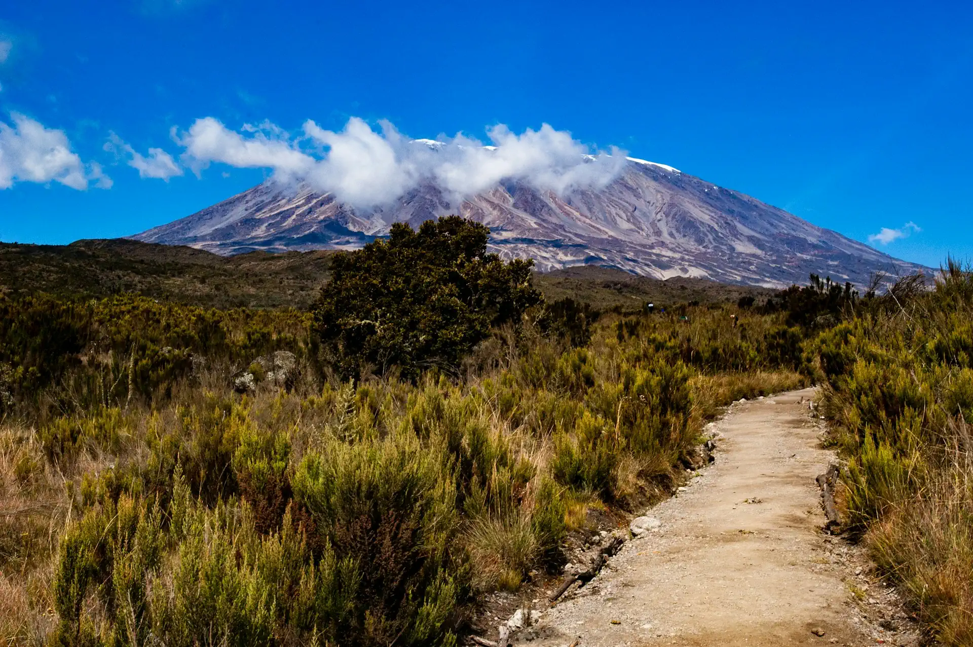 Day Hike to Marangu, Kilimanjaro