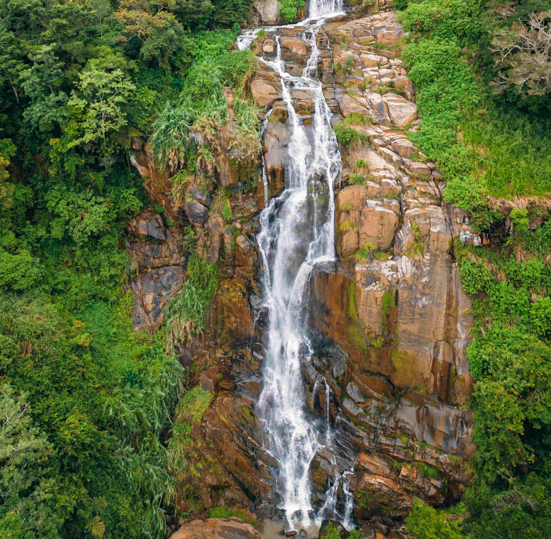 Kikuletwa Hot Springs Day Trip