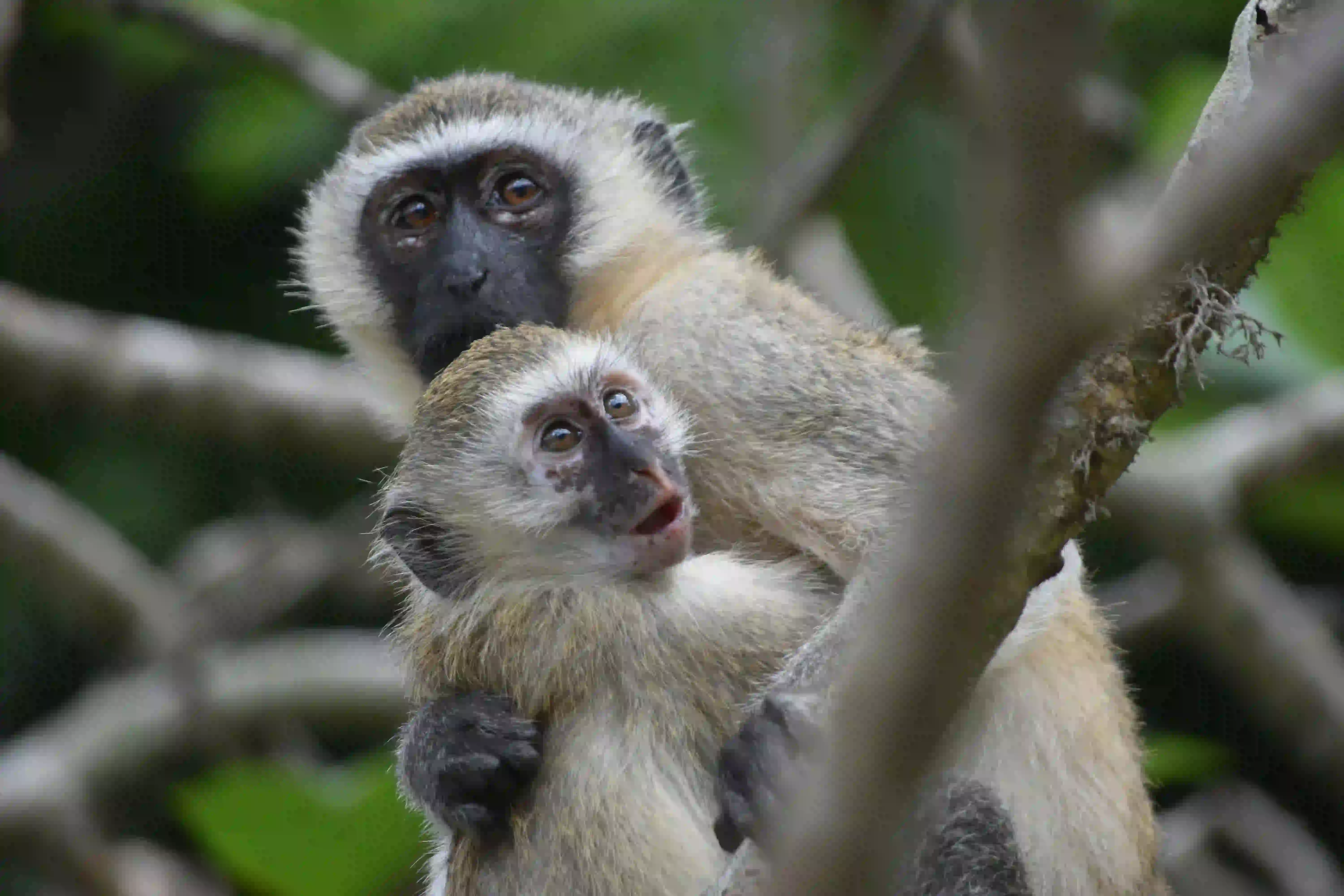 Creating Unforgettable Tanzania Experiences
