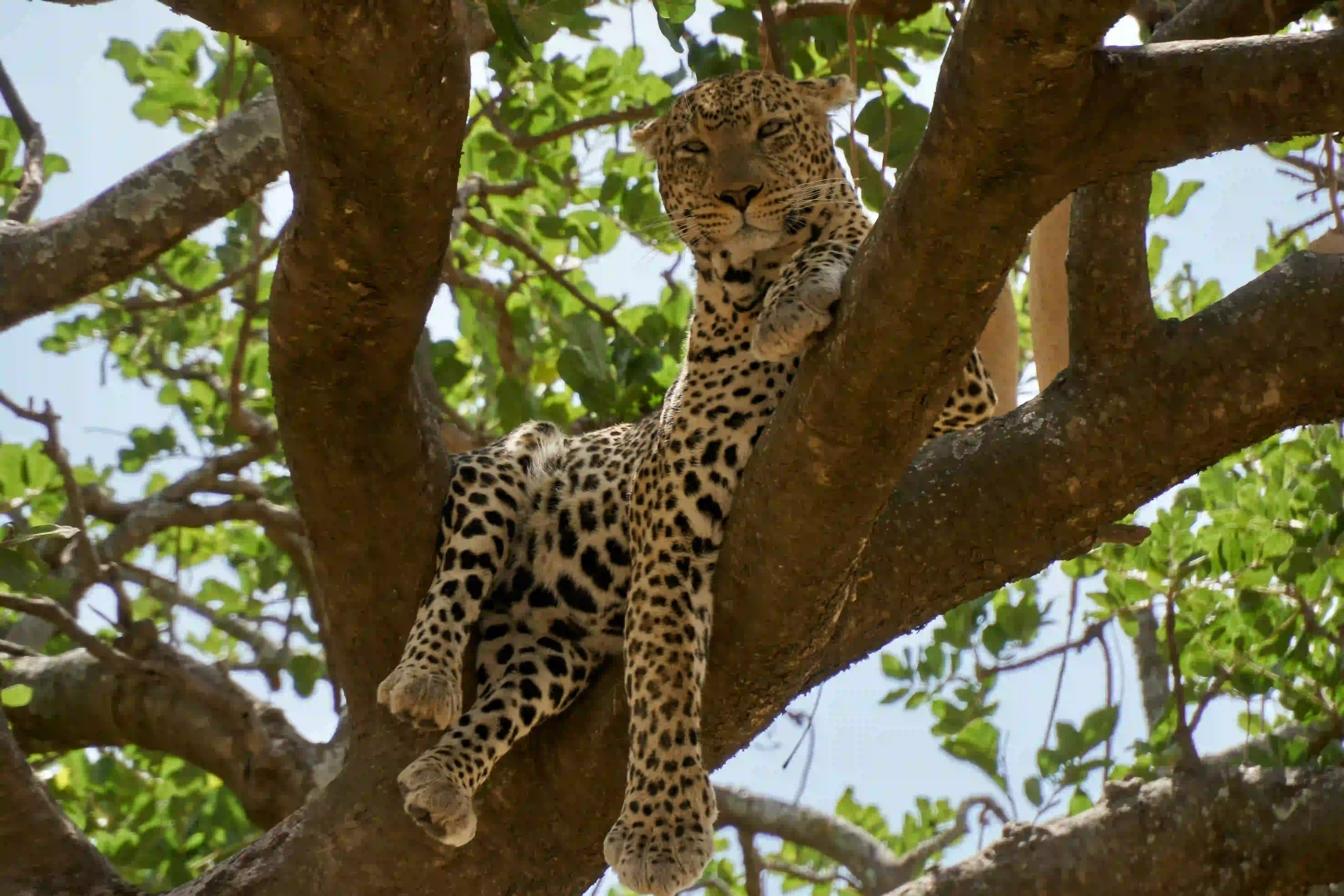 Adventure Awaits in the Heart of Tanzania