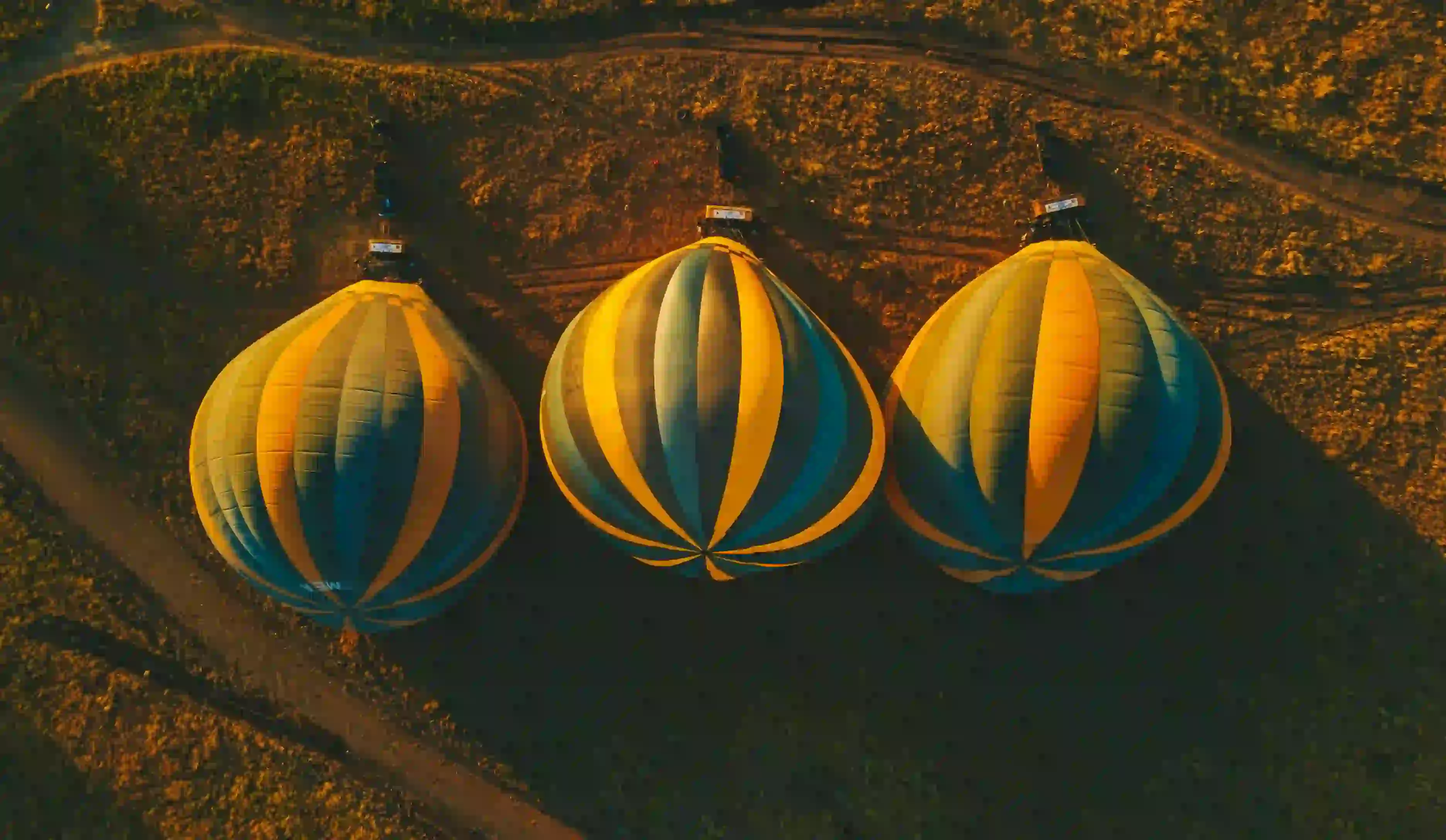 Luxury Safaris