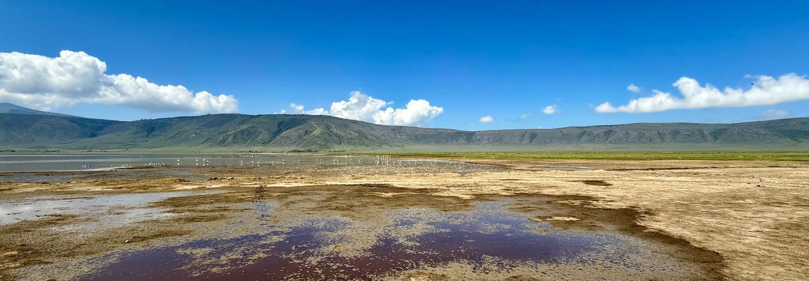 5-Day Extended Serengeti Safari