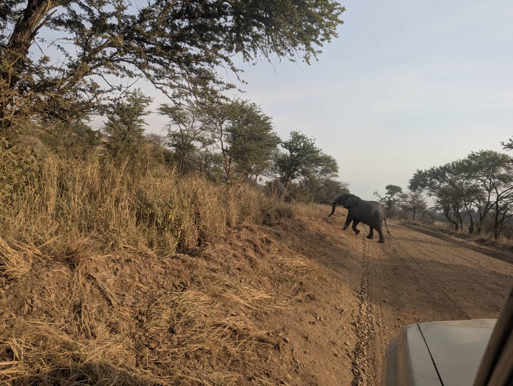 4-Day Super Luxury Safari