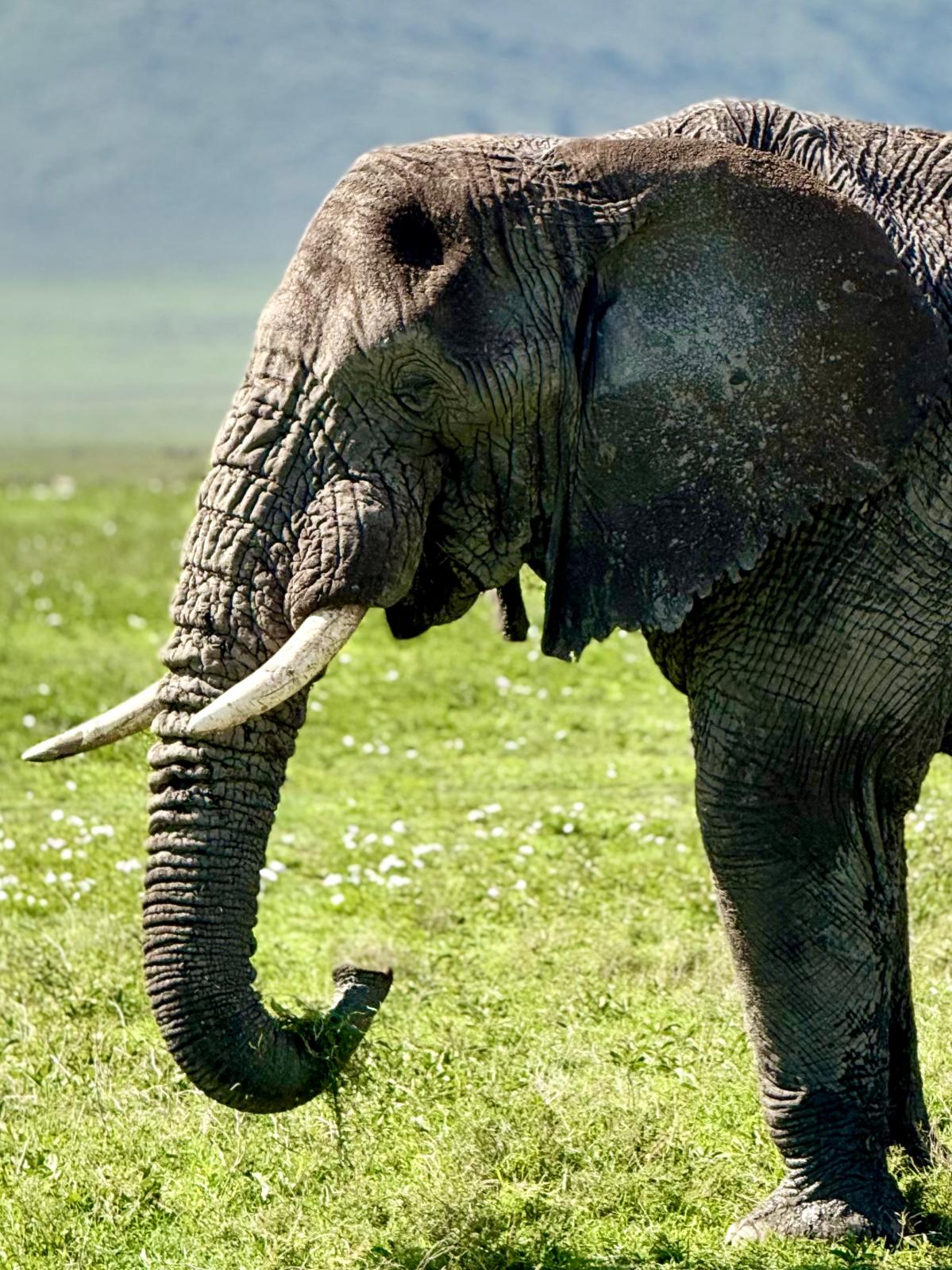 2-Day Tarangire & Ngorongoro Safari