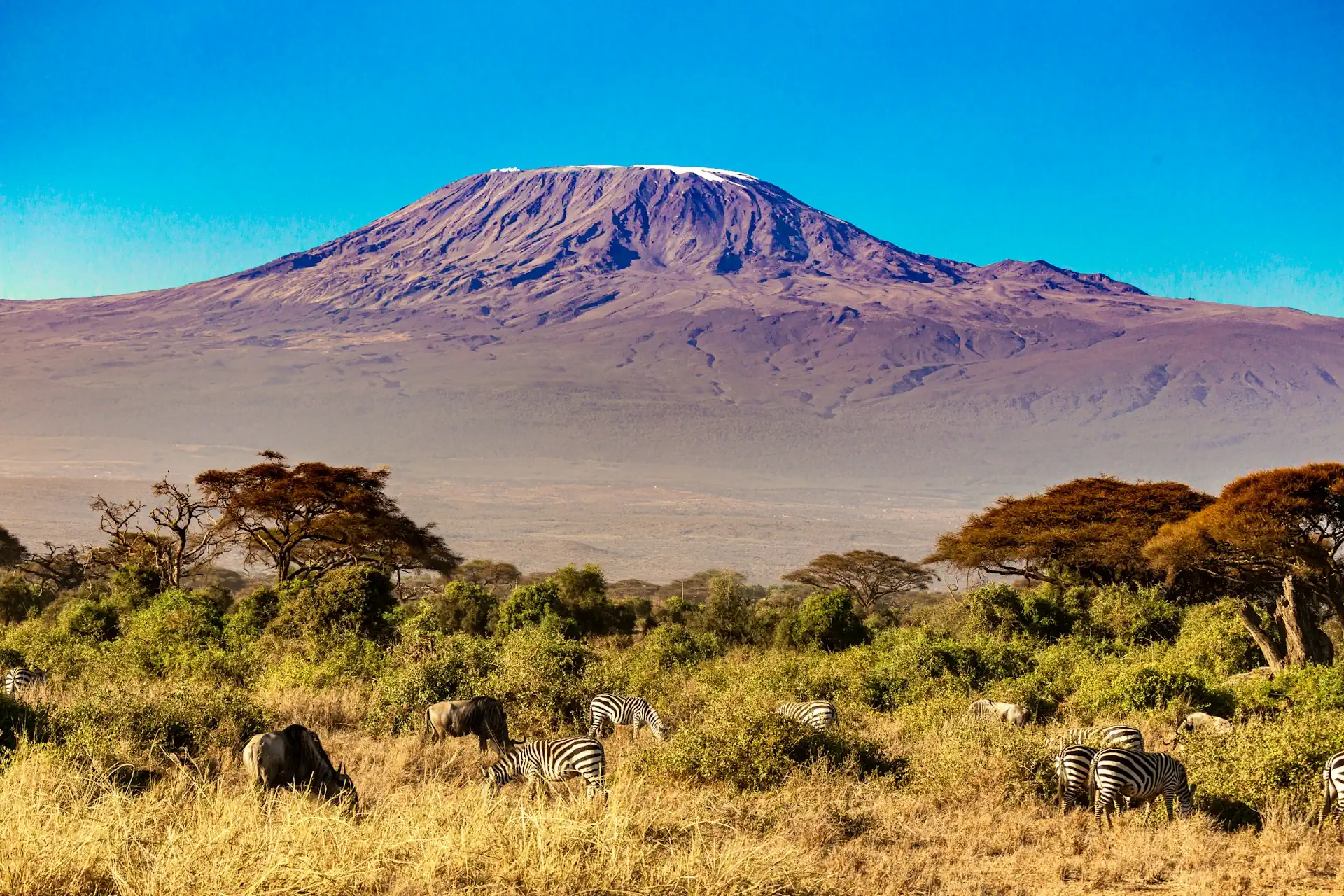 From the Plains of Serengeti to the Peaks of Kilimanjaro