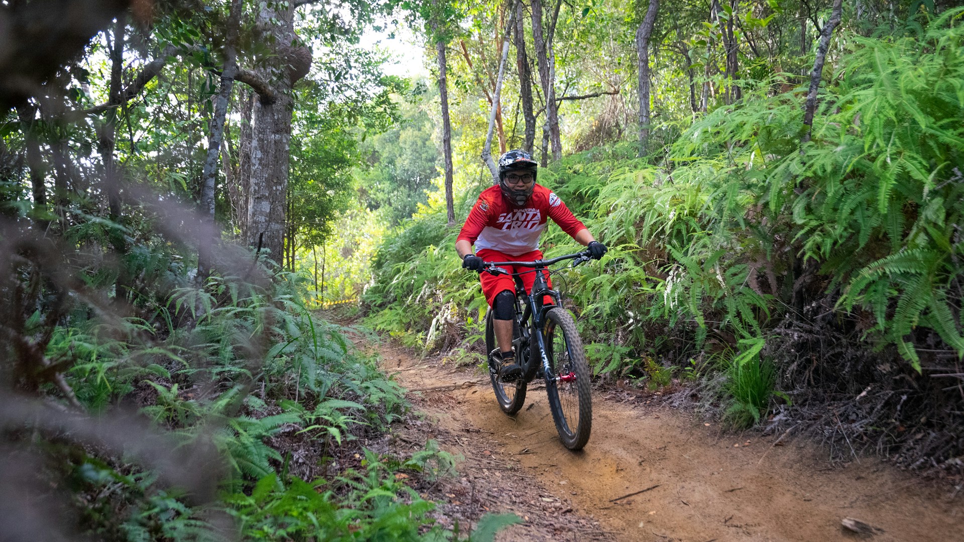 Rau Forest Bike Tour