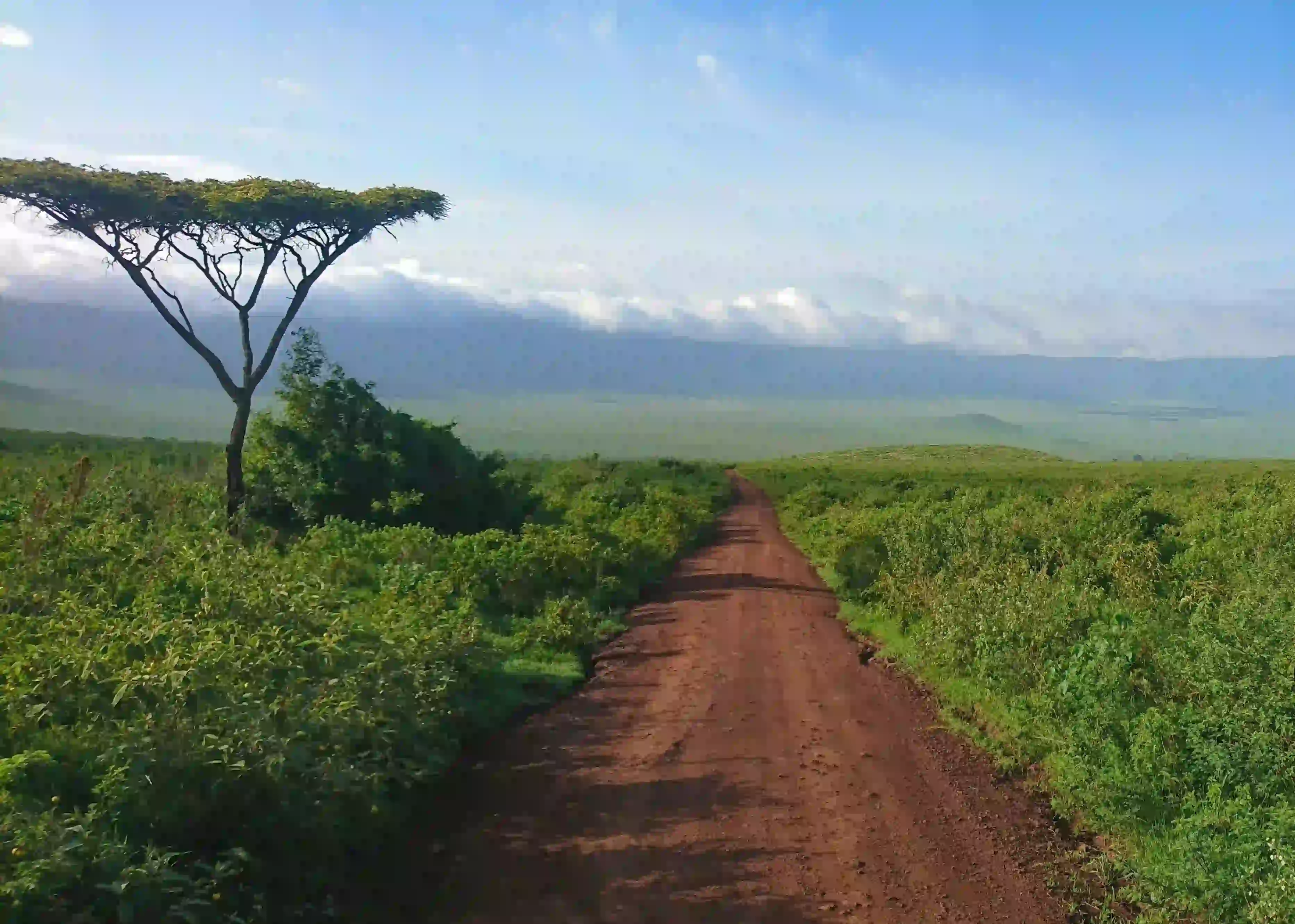 Ngorongoro Highlands