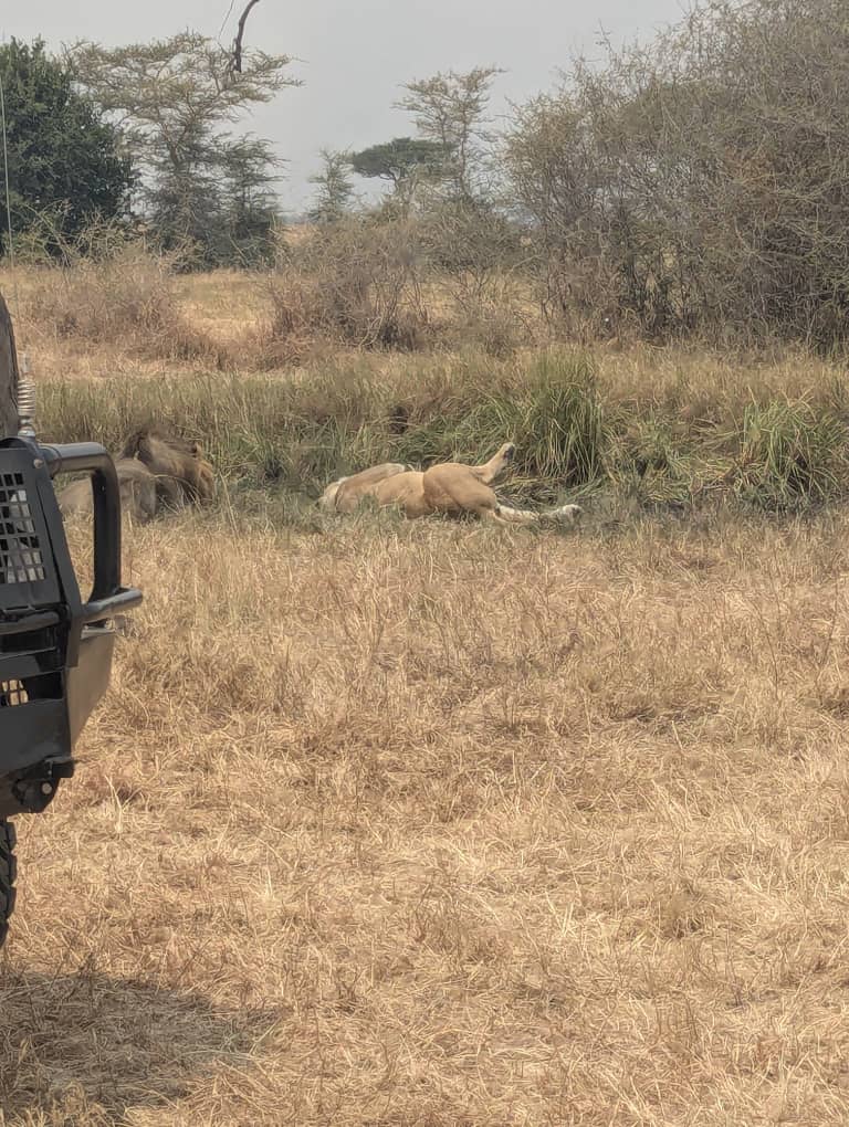 4-Day Super Luxury Safari