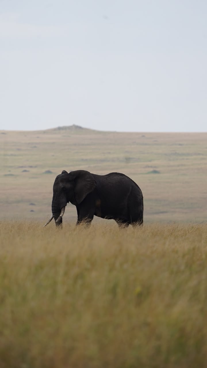 6-Day Super Luxury Safari