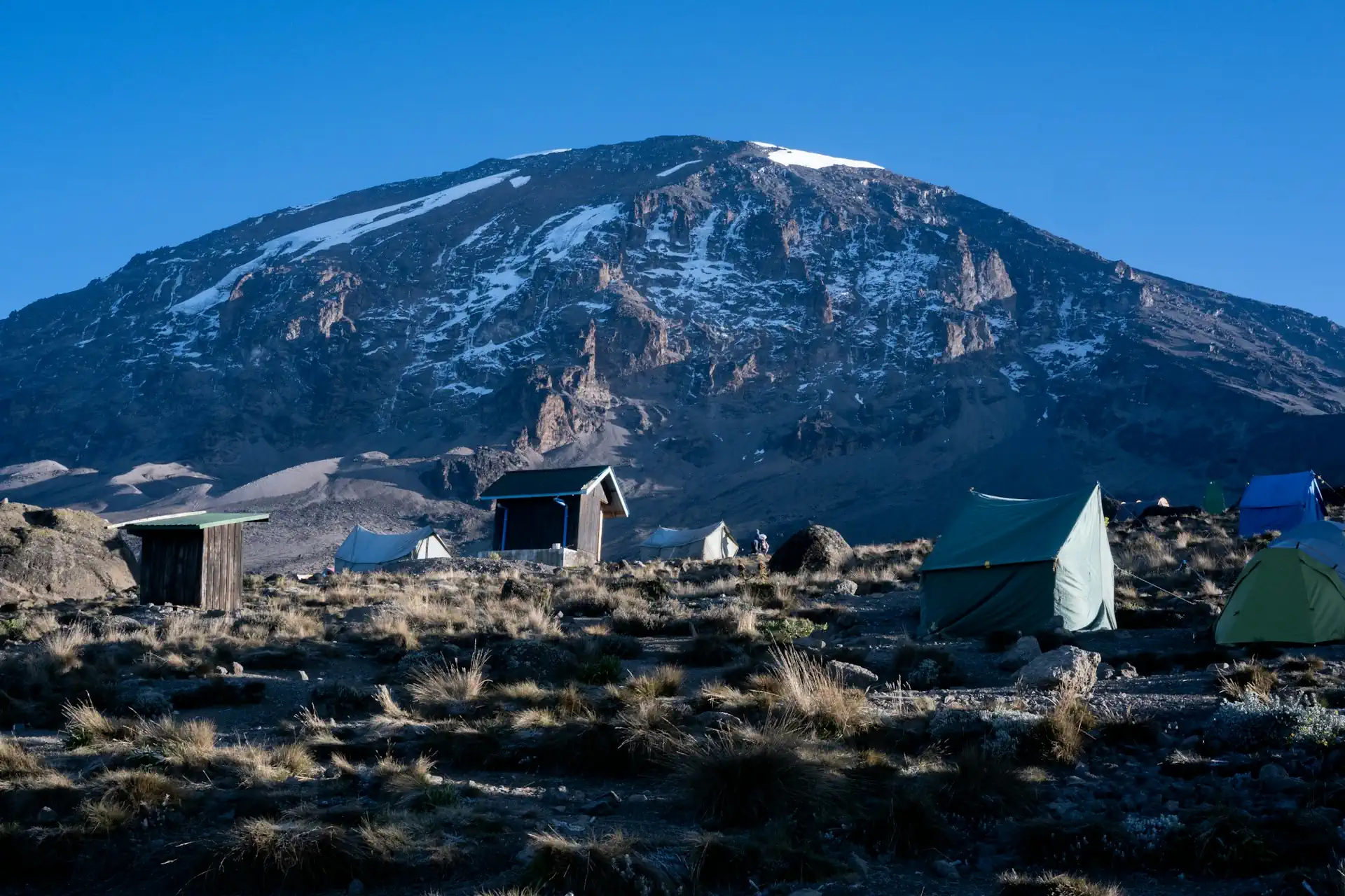 From the Plains of Serengeti to the Peaks of Kilimanjaro