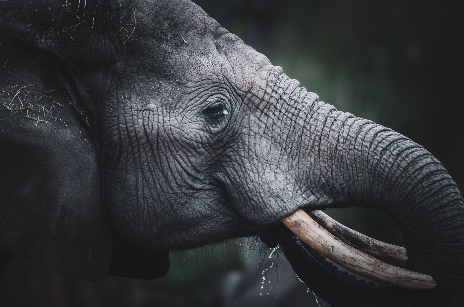 A Private 3-Day Budget Safari to Tarangire, Ngorongoro Crater and Lake Manyara